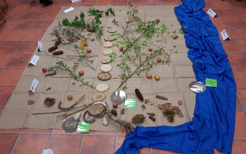 Bodenbild von einem Seminar, welches als Seminarleiterin im Zuge der Ausbildung zur Lebens- und Sozialarbeiterin nötig ist: Äste, Äpfel, Blätter, blaues Tuch