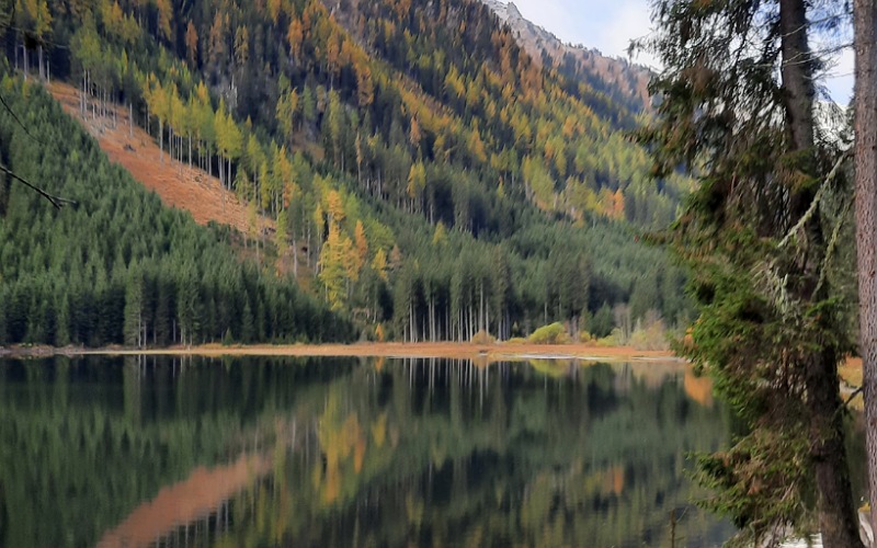 Bergsee, herbstlicher Wald spiegelt sich im Wasser.