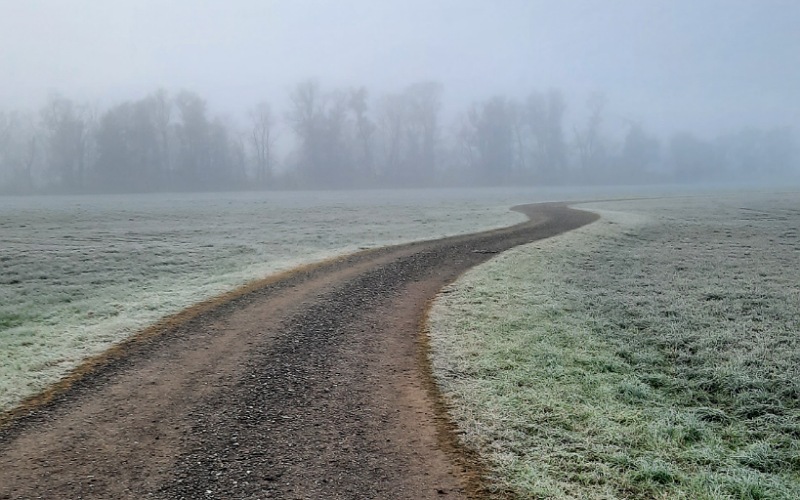 Feldweg, Landschaft im Nebel