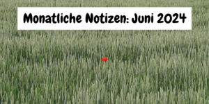 Getreidefeld mit einer roten Mohnblume. Text: Monatliche Notizen Juni 2024
