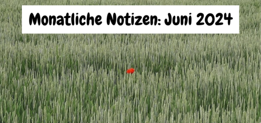 Getreidefeld mit einer roten Mohnblume. Text: Monatliche Notizen Juni 2024
